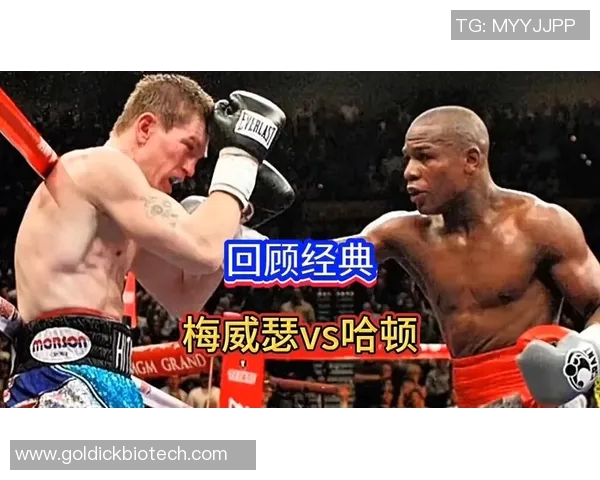 梅威瑟与哈顿巅峰对决高清回顾精彩瞬间全景展现